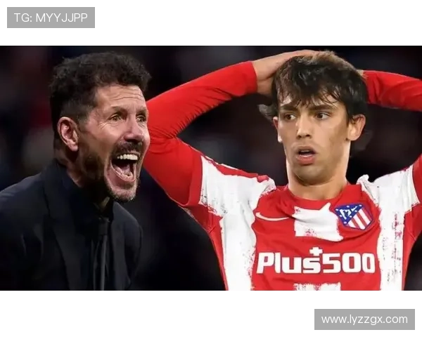 从西蒙尼体系到技术解放：菲利克斯的适配难题